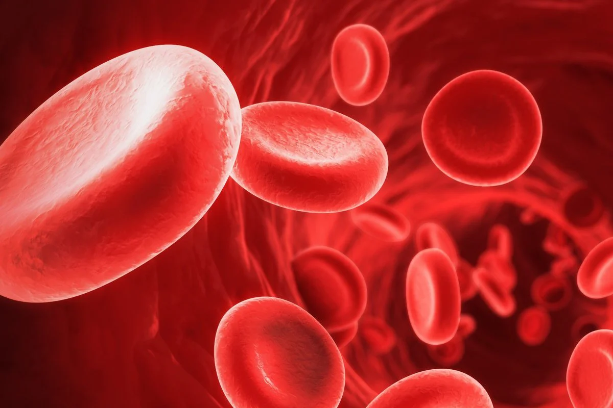 Tình trạng thiếu máu có thể ảnh hưởng nhiều đến sức khỏe người cao tuổi.