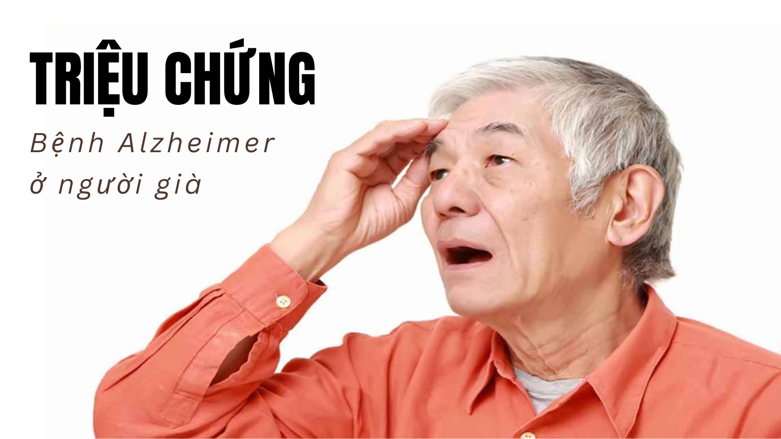 Triệu chứng bệnh Alzheimer ở người già
