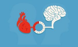 Bảo vệ bộ não bằng cách chăm sóc trái tim khỏe