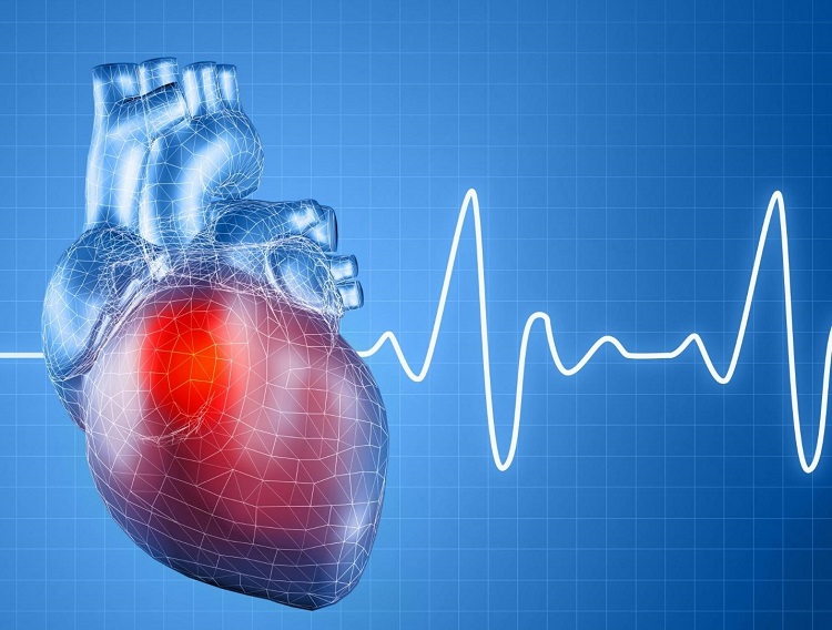 Cần hiểu rõ về nguyên nhân suy tim để bệnh không gây nguy hiểm cho người cao tuổi.